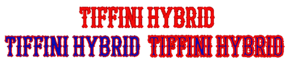 Tiffini Hybrid